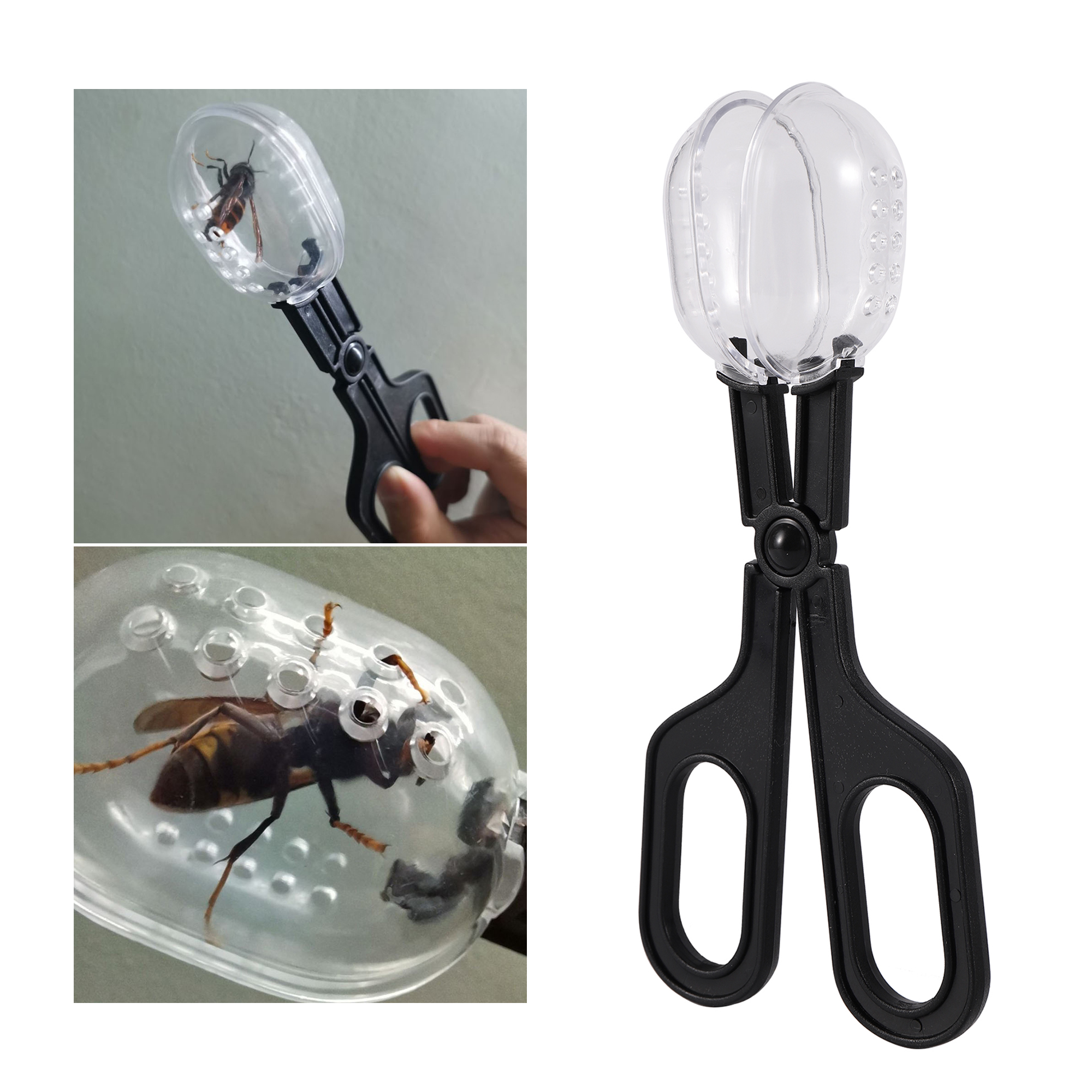 Bee Catching Clip Bee Queen Tr – обзор и цена Home Security Fence