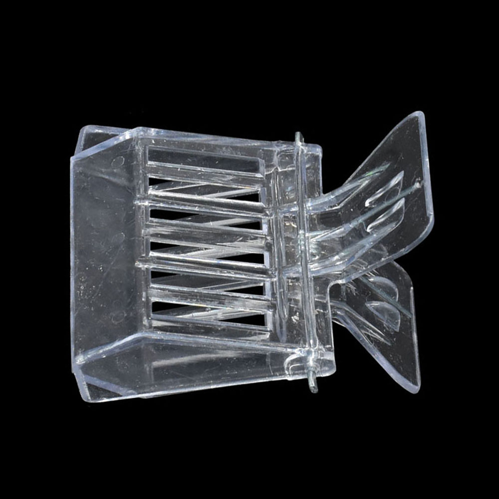 50 Pcs Bee Queen Catcher Color – обзор и цена Home Security Fence
