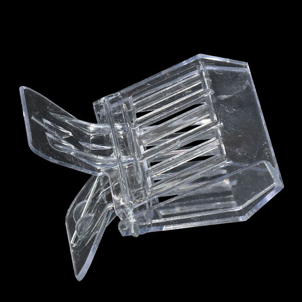 50 Pcs Bee Queen Catcher Color – обзор и цена Home Security Fence