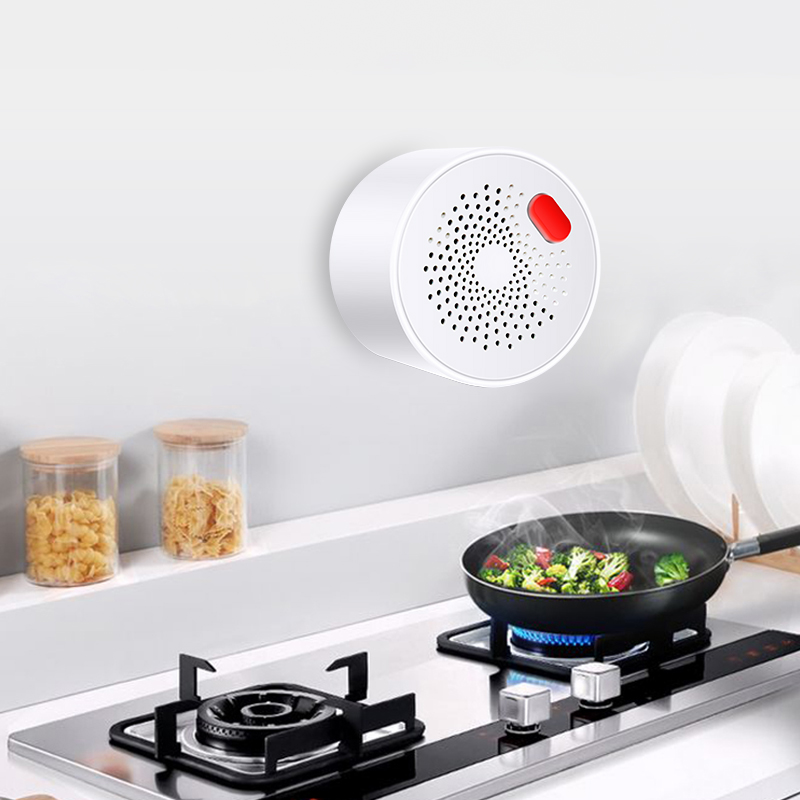Tuya Smart Home Wifi Natural G – обзор и цена Home Security Devices