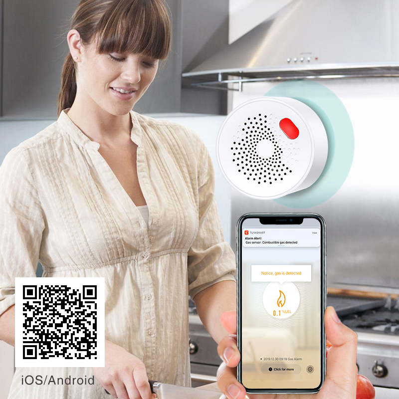 Tuya Smart Home Wifi Natural G – обзор и цена Home Security Devices
